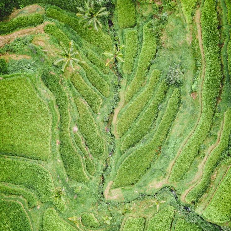 Family terraces and cafés for calm evenings in Zurich