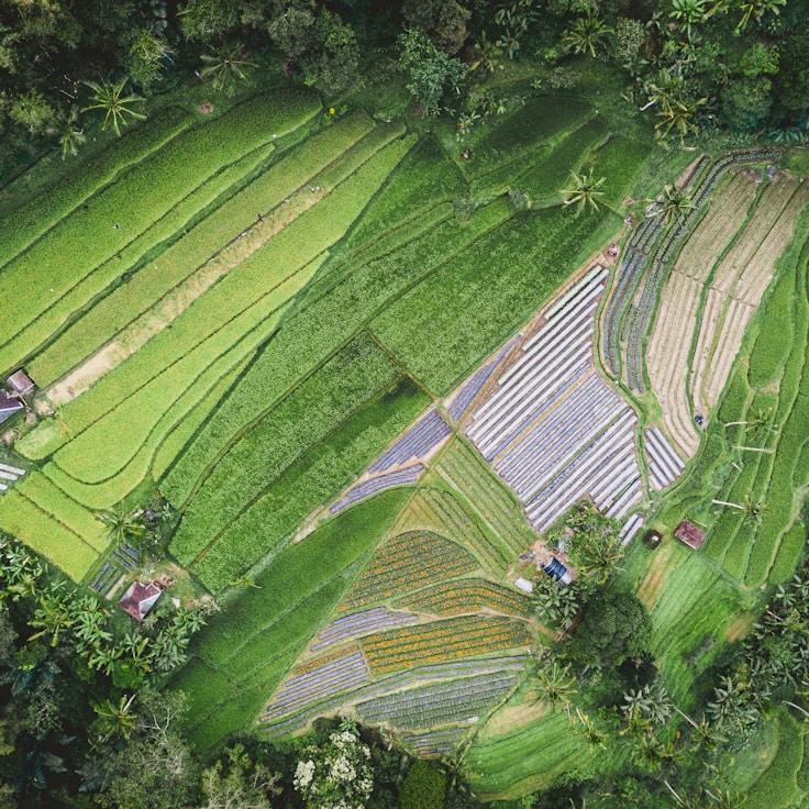 Kids playground area in Switzerland